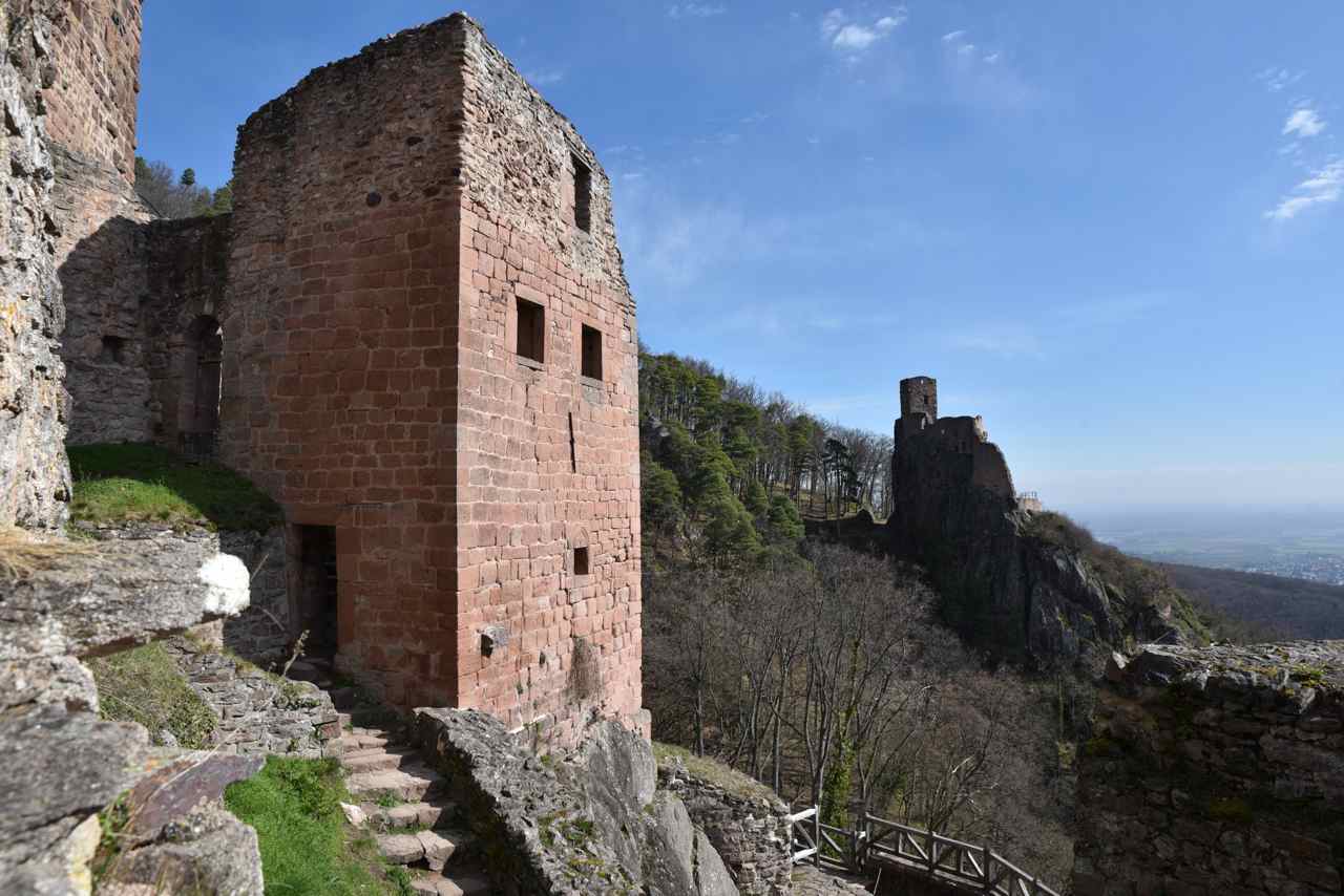 Château de Saint-Ulrich, Ribeauville